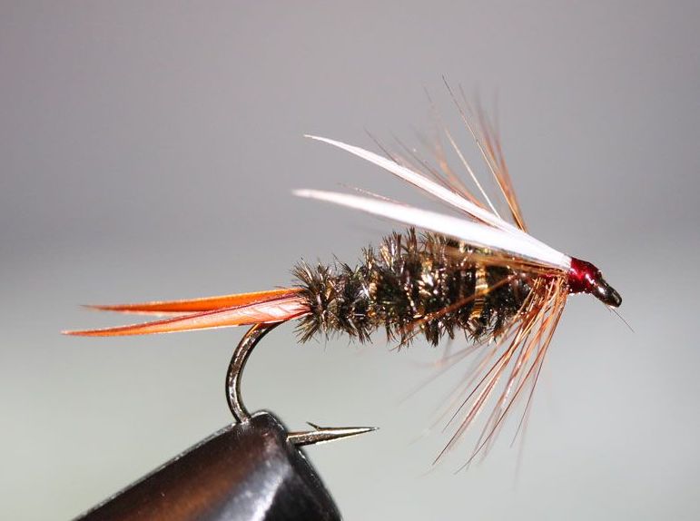 48 Wet Flies Bead Head Prince 4 Size Assortment 12,14,16,18 Nymph Fly Fishing Trout Flies 3 of Each Size Pheasant Tail and Bead Head Pheasant Tail Prince 
