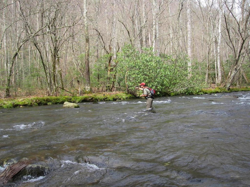 East Bradley Fork, NC