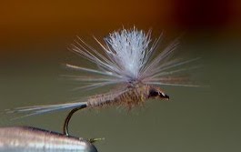 Fly Fishing the Hendrickson Hatch - Fly Fisherman