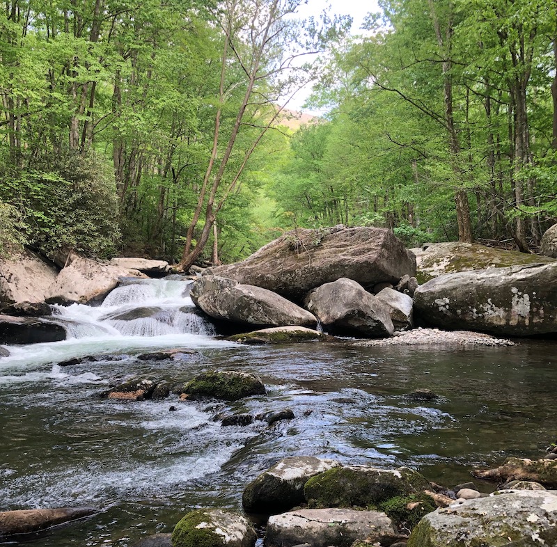 Little River GSMNP Tennessee