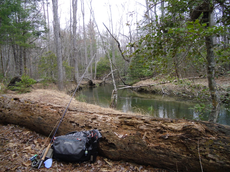 Upper Abrams Creek, Tennessee