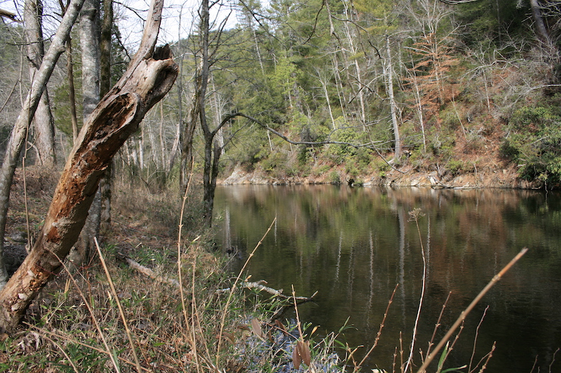 Abrams Creek, Tennessee