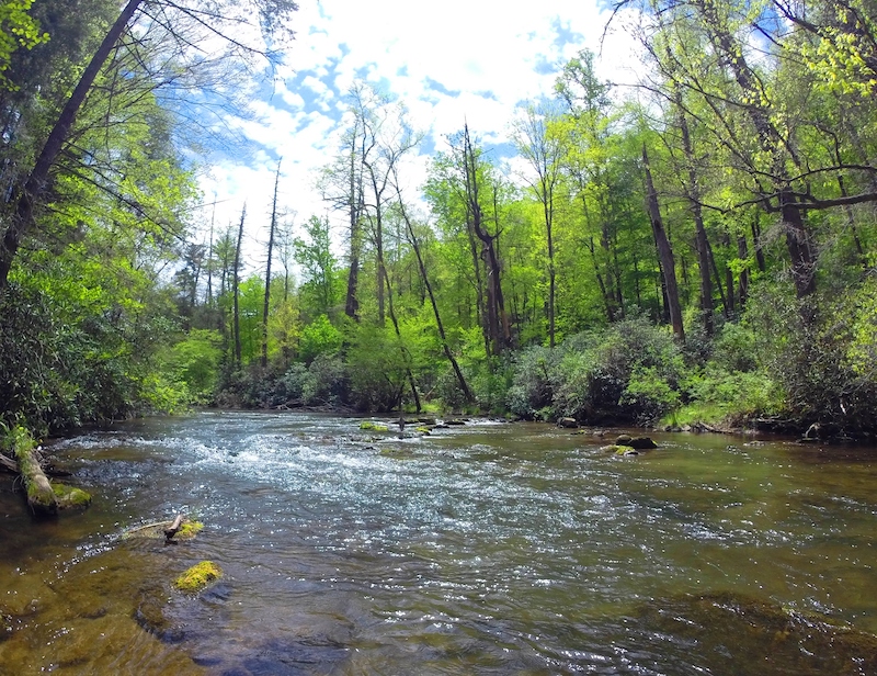 Abrams Creek Tennessee