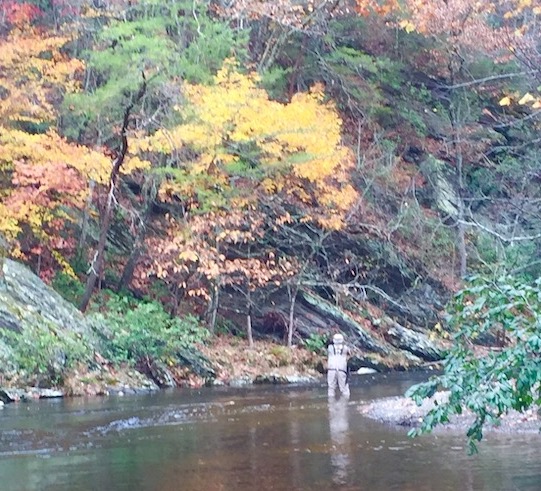 fall fishing on little river