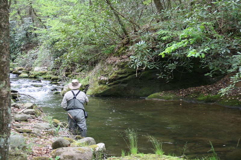 On the Fly: One Less Tangle - Fightmaster Fly Fishing