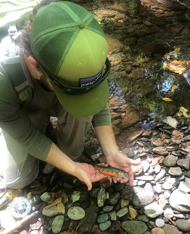 Fall Smoky Mountain Brook Trout