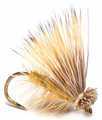 Peacock & Elk Hair Caddis – Fly Fish Food