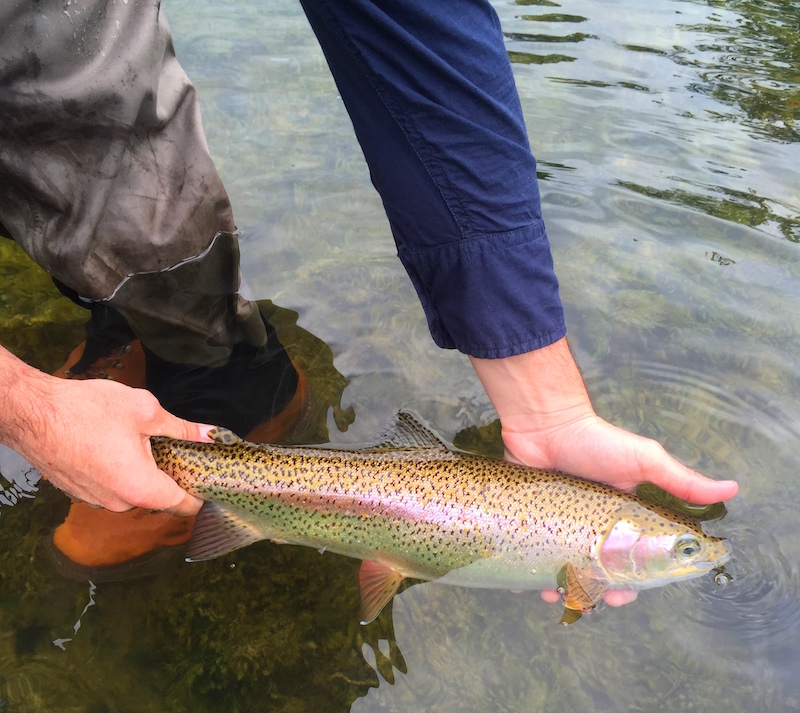 One of the best tips for landing fish in rivers! #flyfishing