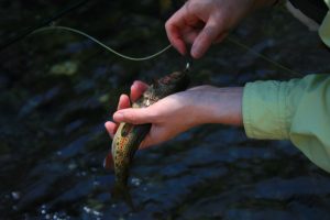 The Slip-and-Grab Fish Landing Technique - Fly Fisherman