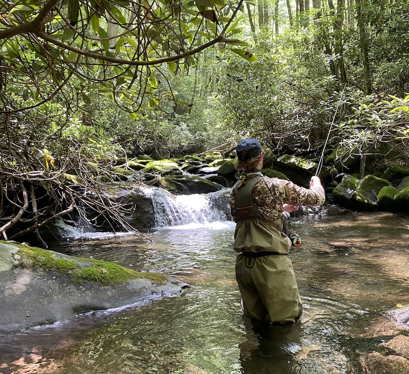 Smoky Mountains Archives - Page 5 of 8 - Fightmaster Fly Fishing
