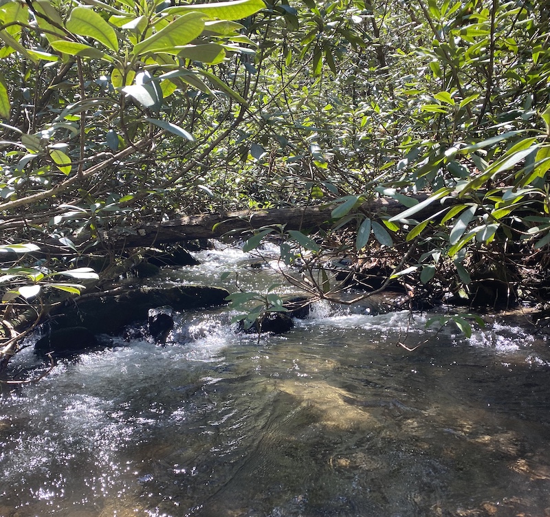 Small Mountain Stream