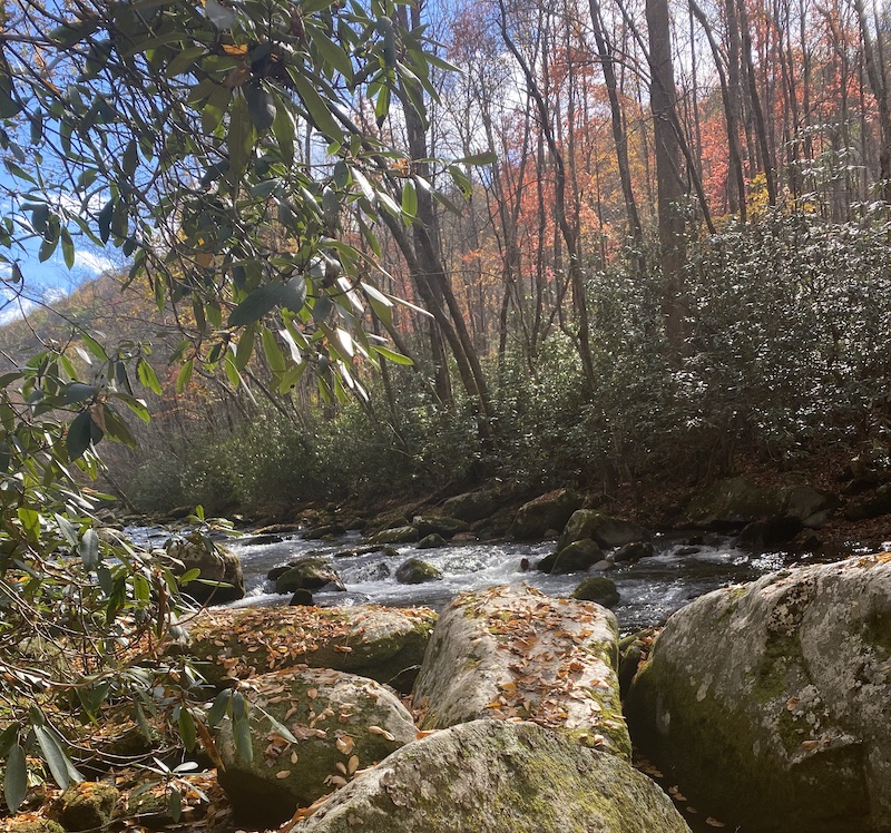 Great Smoky Mountains National Park, Tennesseee, Angler Fly