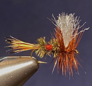 Steelhead Coachman Fly Fishing Flies - One Fly in Choice of Hook Size 