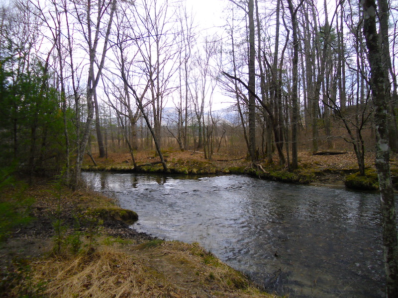 abrams creek