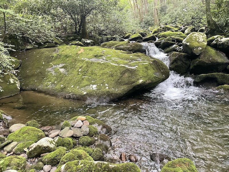 Smoky Mountain Stream