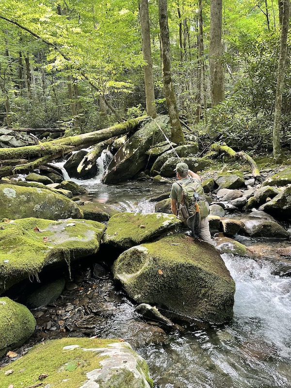 Fly Fishing a Smoky Mountain Trout Stream