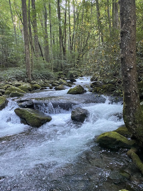 Smoky Mountain Fishing Report 9/2/21 - Fightmaster Fly Fishing