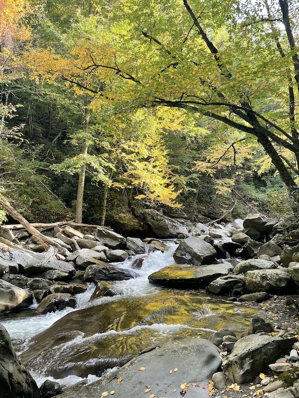 Smoky Mountain Stream