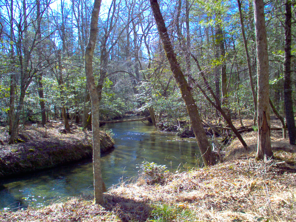 Abrams Creek, Smoky Mountains