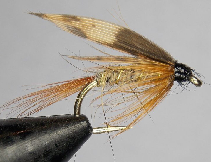 Cone Head Soft Hackle Streamer Brown/Yellow – North Country Fly Shop
