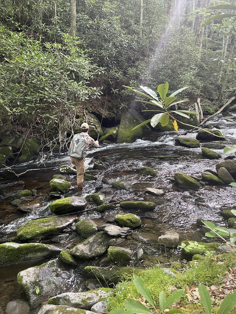 fishing a smoky mountain stream