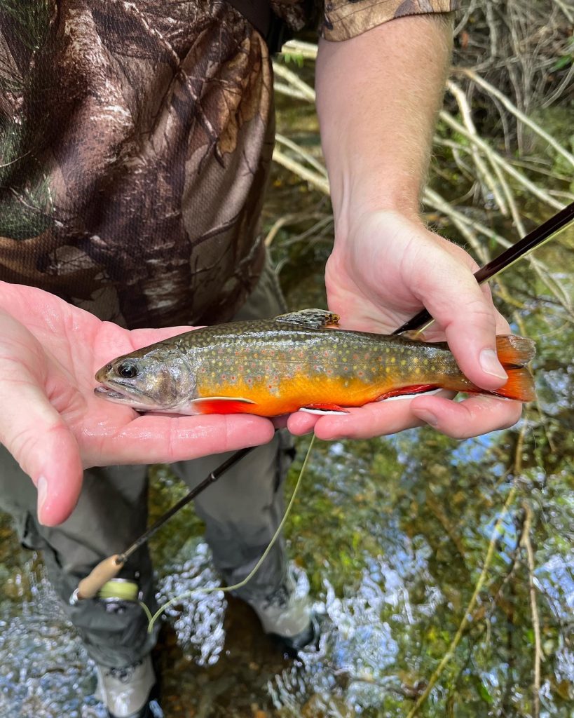 Leather Fly Fishing Log  The Catch and The Hatch